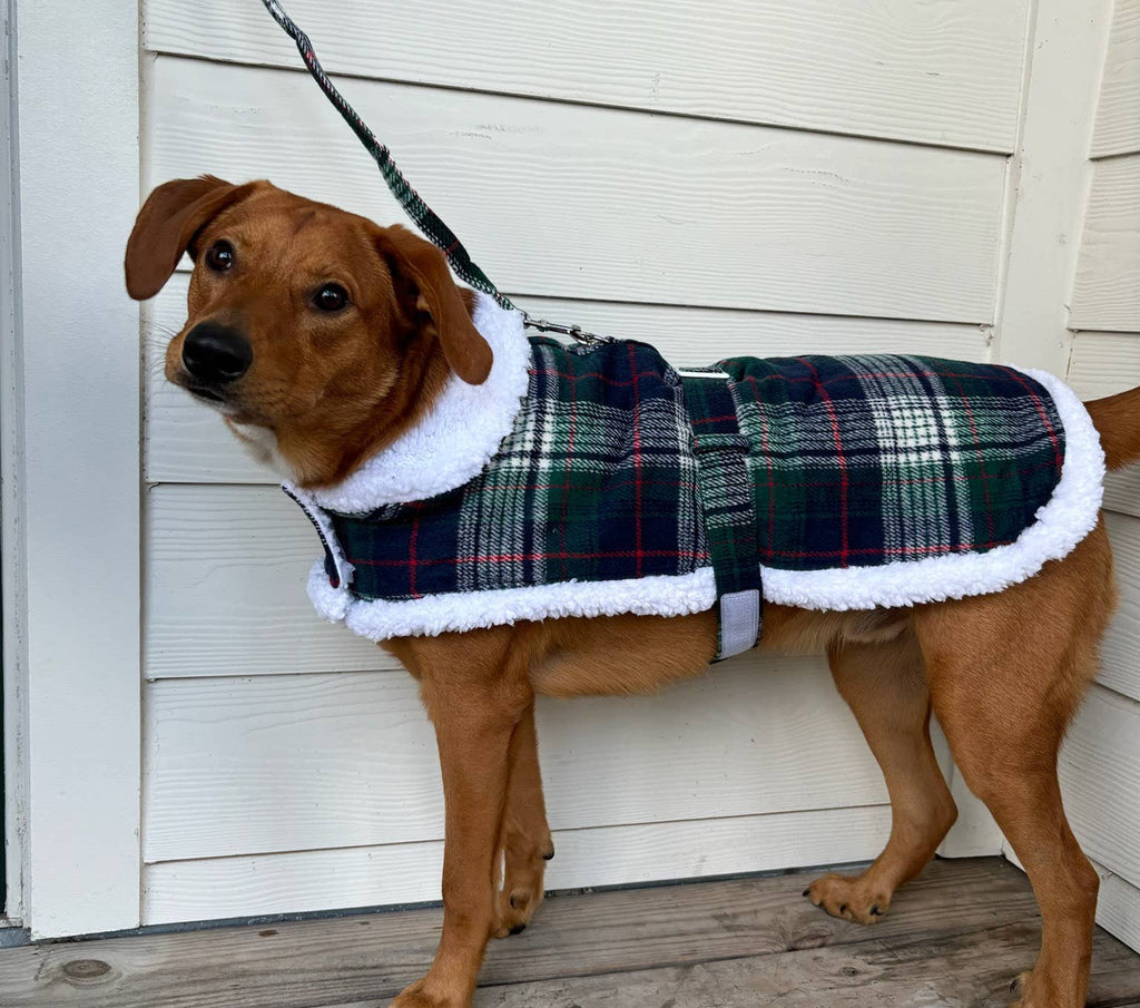 Sherpa-Lined Dog Harness Coat - Blue & Green Plaid