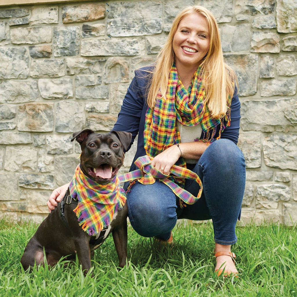 Rainbow Plaid Medium Pet Bandana Set
