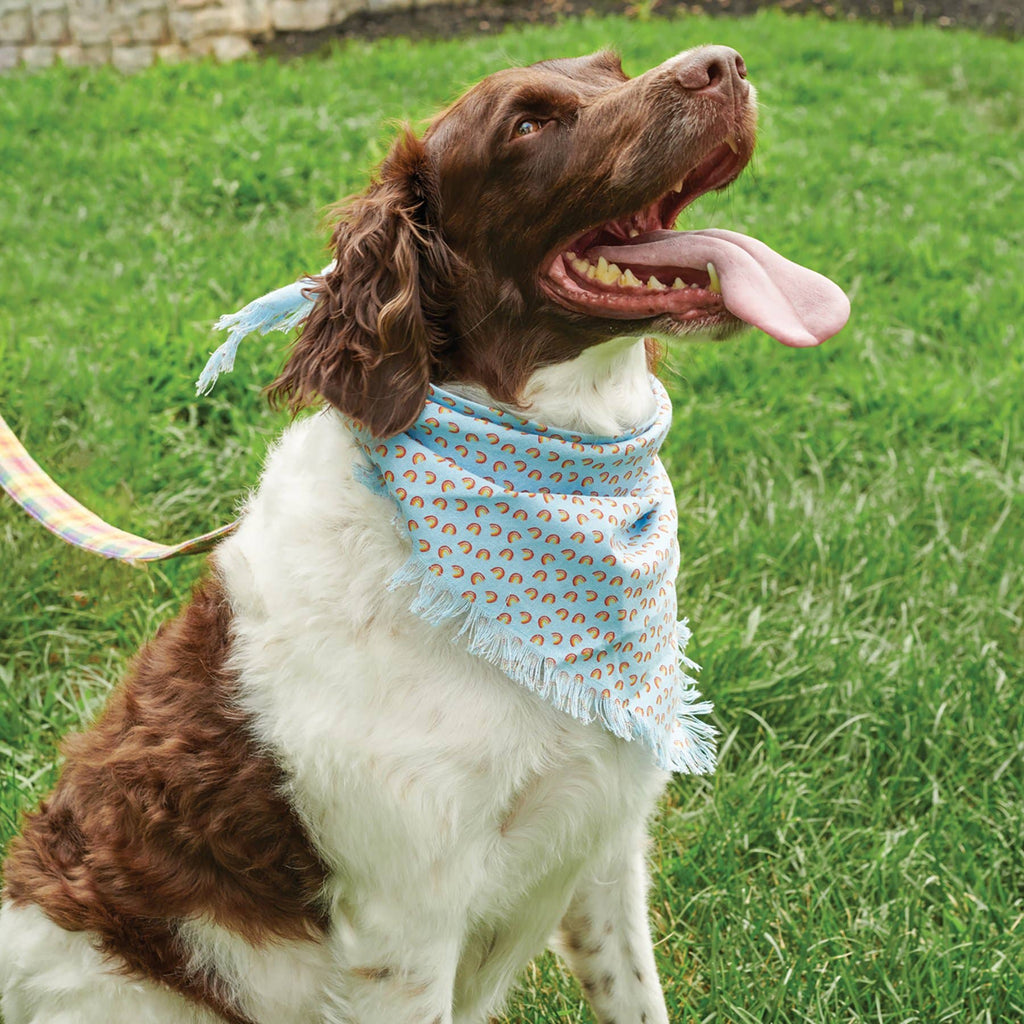 Rainbow Plaid Large Pet Bandana Set
