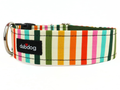 Sunny Collar