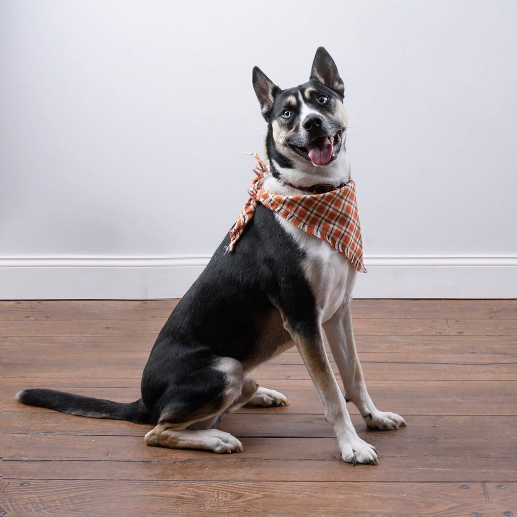 Fall Plaid Large Pet Bandana Set