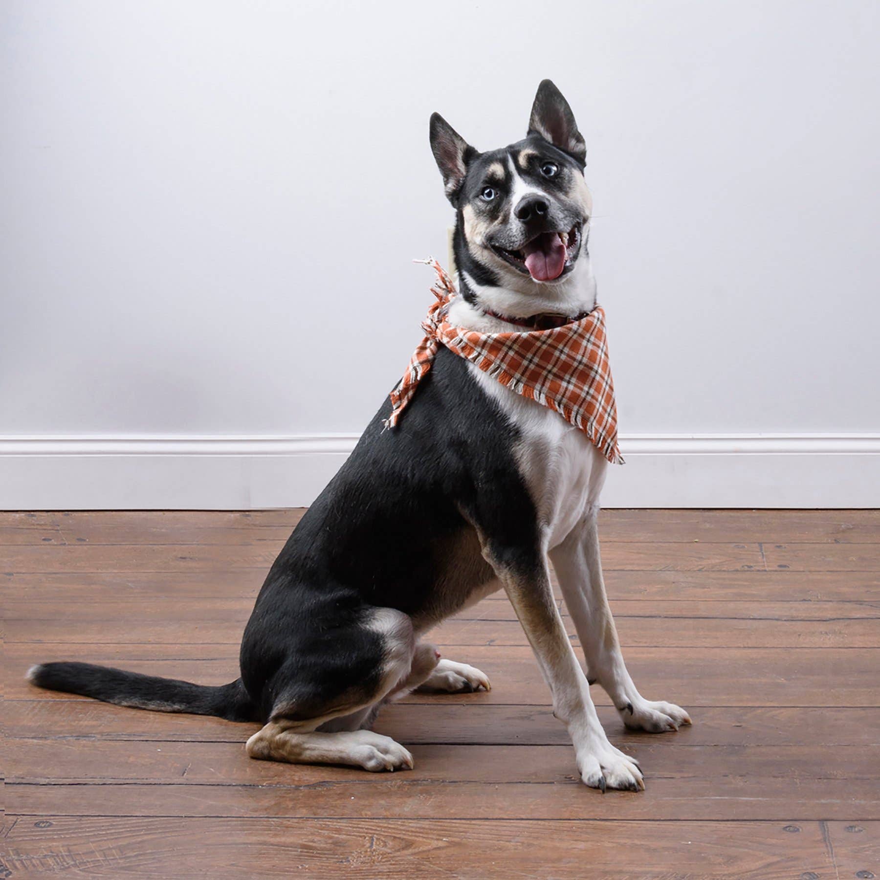 Fall Plaid Large Pet Bandana Set