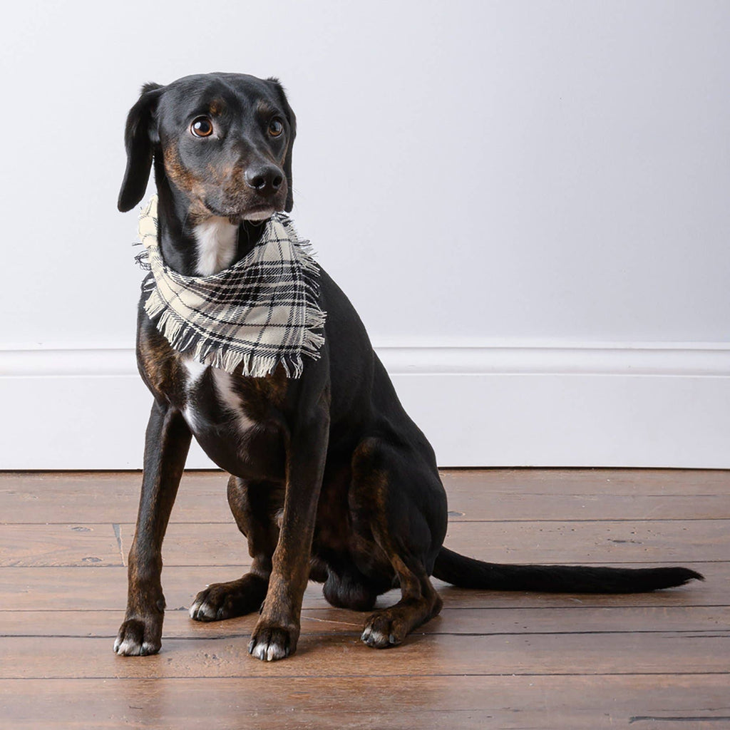 Medium Plaid Christmas Pet Bandana Set