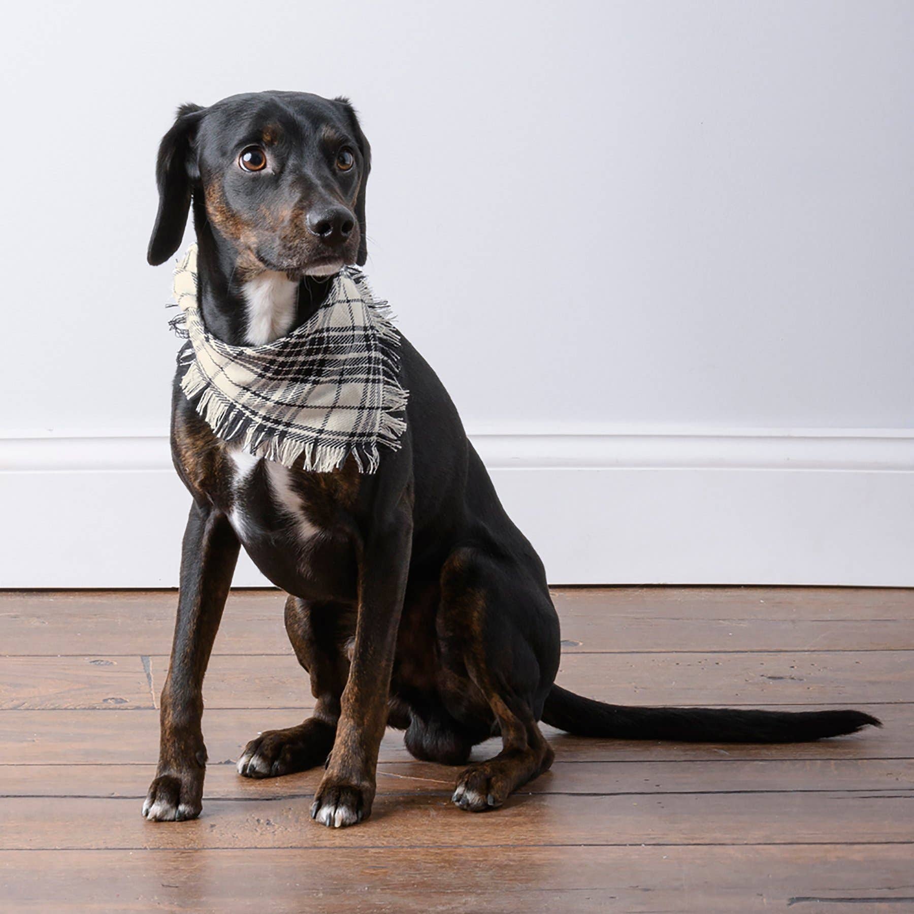 Medium Plaid Christmas Pet Bandana Set