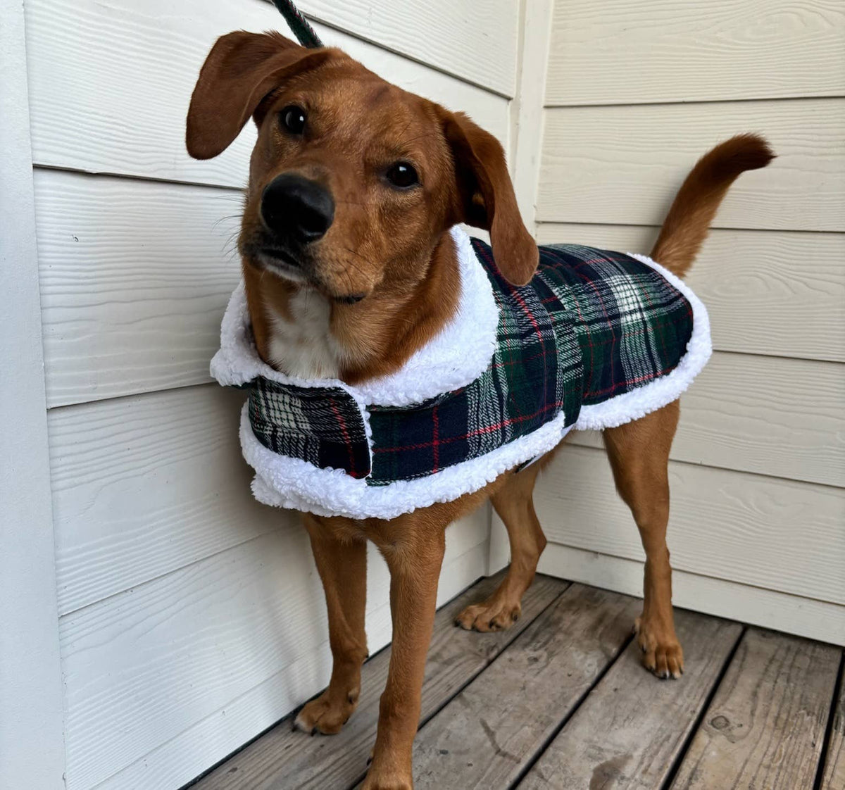 Sherpa-Lined Dog Harness Coat - Blue & Green Plaid