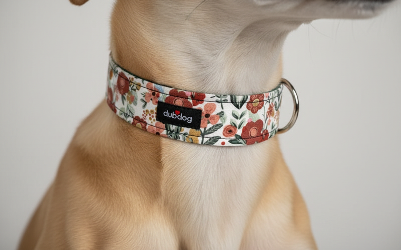 Harper Dog Collar