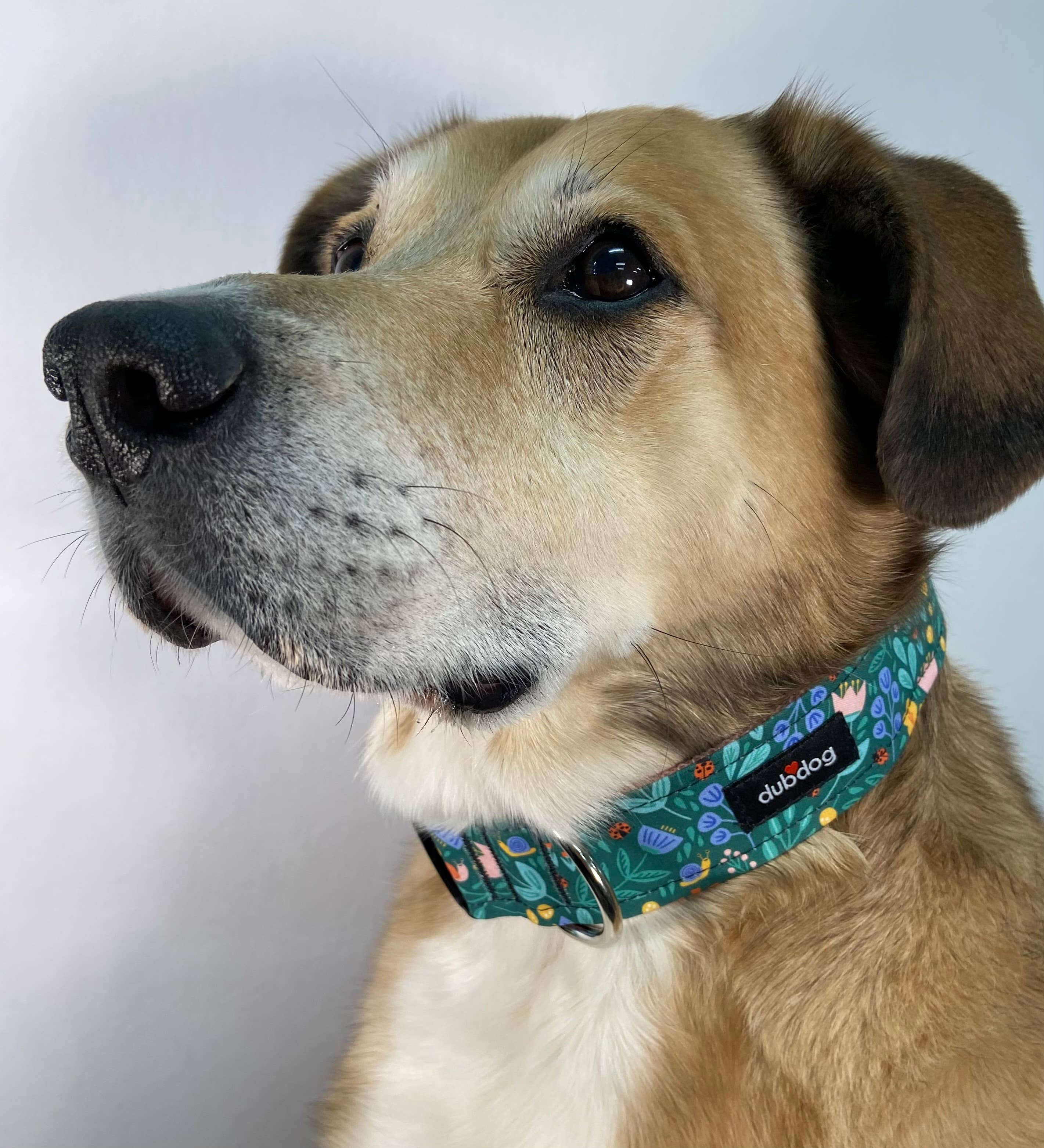 Petal Pals Collar
