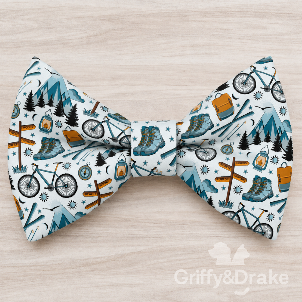 Adventure Awaits Bow Tie