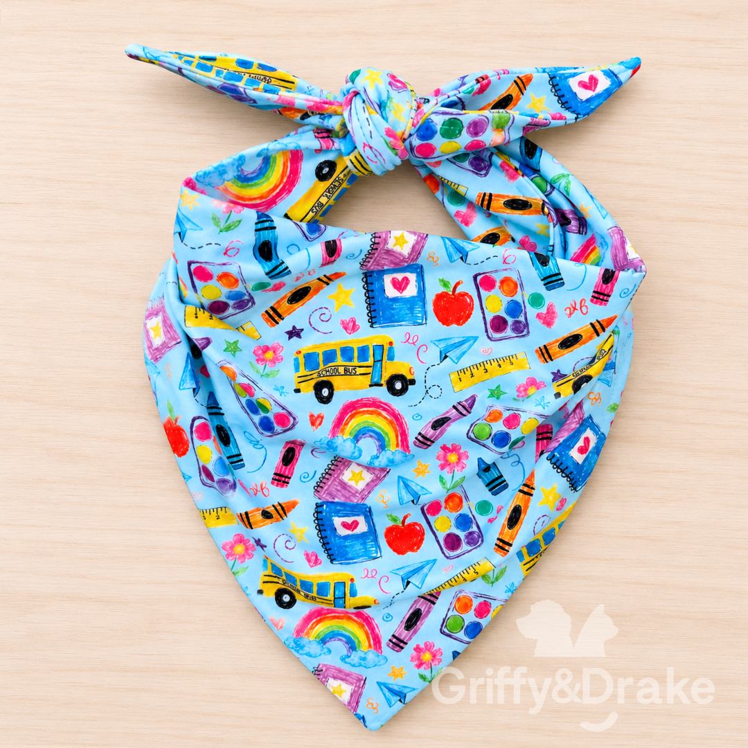 Teacher's Pet Bandana