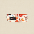 Pumpkin Spice Dog Collar