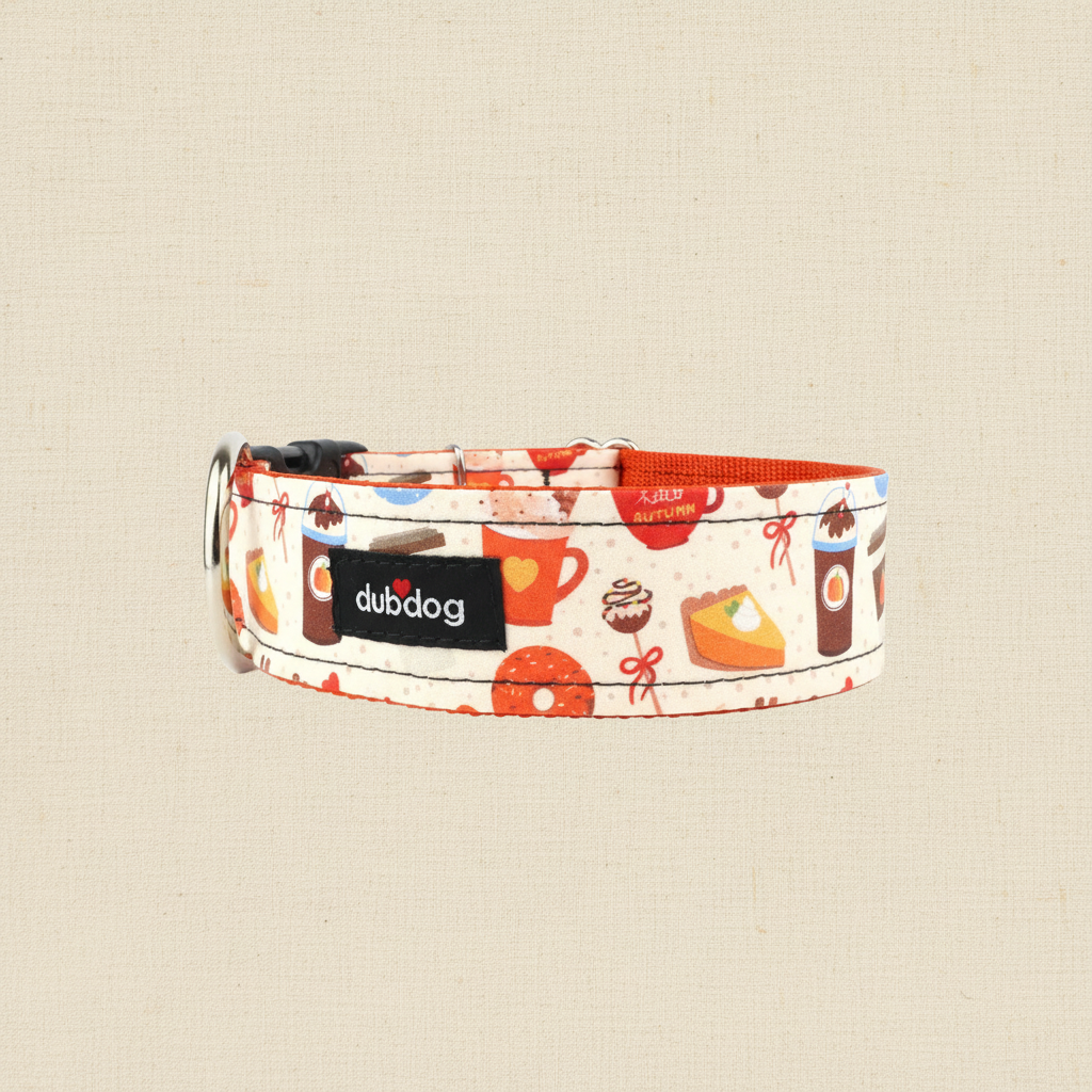 Pumpkin Spice Dog Collar