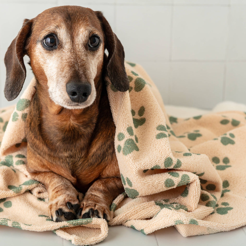 QUICK DRY PET TOWEL