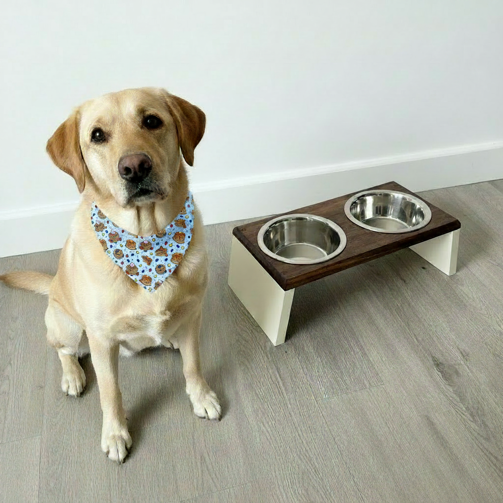 Labrador with oversized Brunch Buddies bandana at feeding station