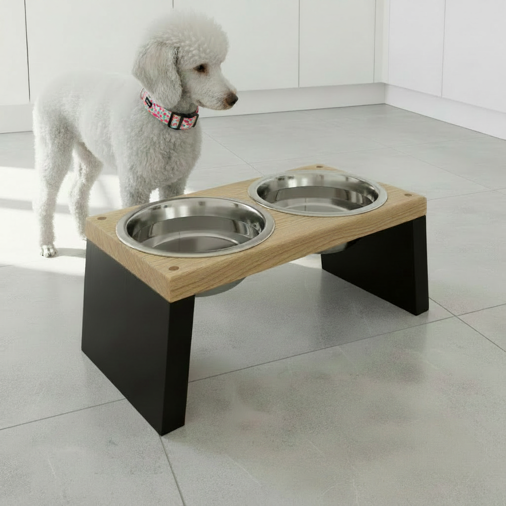 Standard poodle with floral collar at feeding station in kitchen